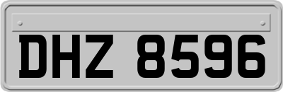 DHZ8596