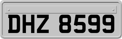 DHZ8599