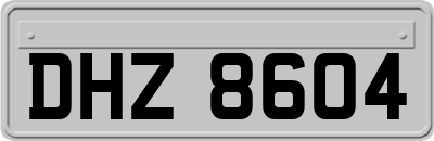DHZ8604