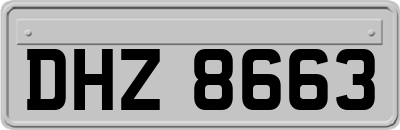 DHZ8663