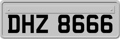 DHZ8666