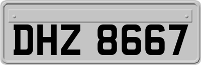 DHZ8667
