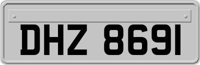 DHZ8691