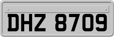 DHZ8709