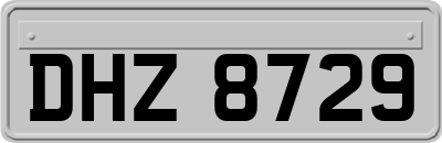 DHZ8729