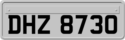 DHZ8730