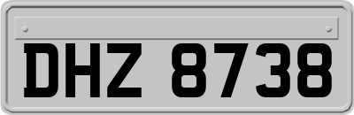 DHZ8738