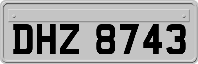 DHZ8743