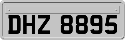 DHZ8895