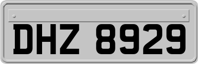 DHZ8929