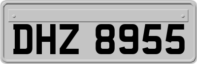 DHZ8955