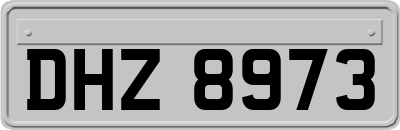DHZ8973