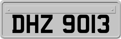 DHZ9013
