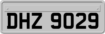 DHZ9029