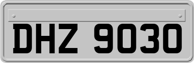 DHZ9030