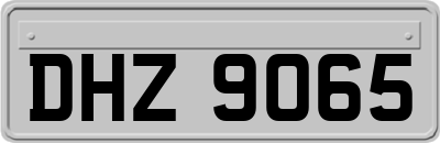 DHZ9065