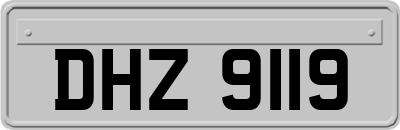 DHZ9119