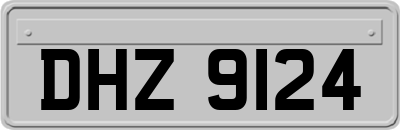DHZ9124