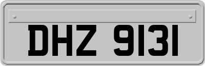 DHZ9131