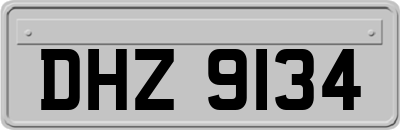 DHZ9134
