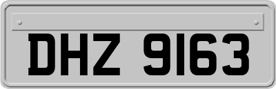 DHZ9163