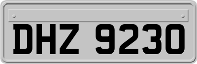 DHZ9230