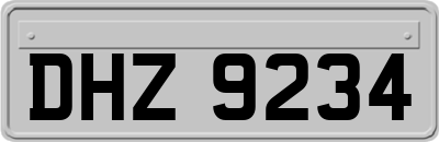 DHZ9234