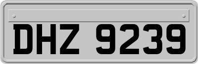 DHZ9239