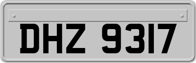 DHZ9317
