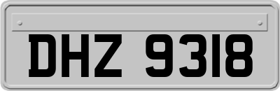 DHZ9318