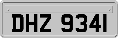DHZ9341