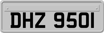DHZ9501