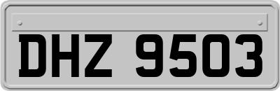 DHZ9503
