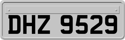 DHZ9529