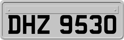 DHZ9530