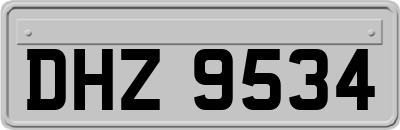 DHZ9534