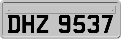 DHZ9537