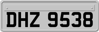 DHZ9538