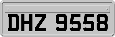 DHZ9558
