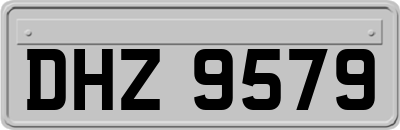 DHZ9579