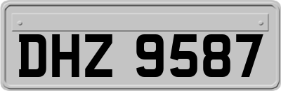 DHZ9587