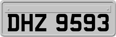 DHZ9593