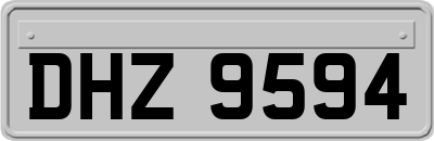 DHZ9594