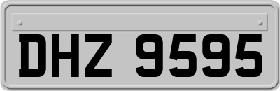 DHZ9595