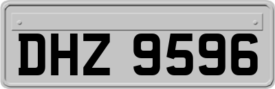 DHZ9596