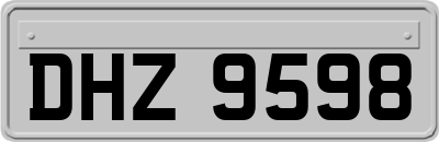 DHZ9598