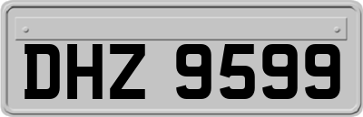 DHZ9599