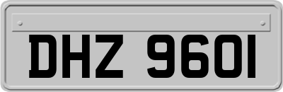 DHZ9601