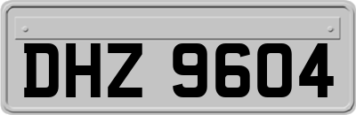 DHZ9604