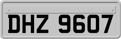 DHZ9607